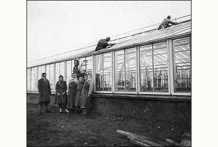 Stavba skleníku Zimní zahrady v areálu nemocnice.