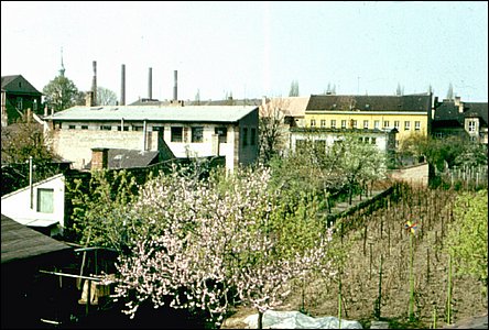 Mezi ulicemi Blahoslavovou a Dobrovolského bývaly dokonce vinohrady.