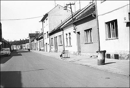 Horní Plesová byla celkem dlouhá a široká ulice.