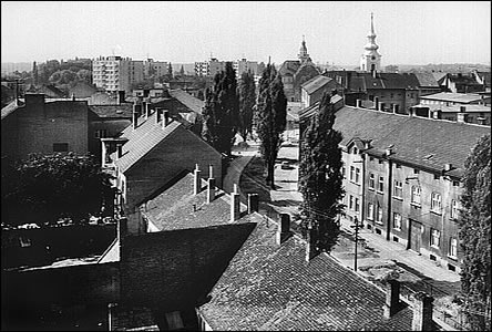Ulice Dobrovolského z ptaí perspektivy v dob okolo roku 1975.