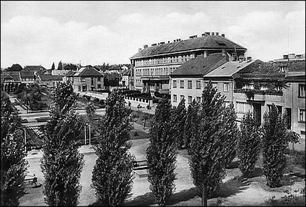 Dtské hišt na Mírovém námstí v r. 1950, úpln vlevo dole je vidt koloto.