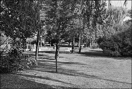 Stední ást parku na Mírovém námstí v sedmdesátých letech.