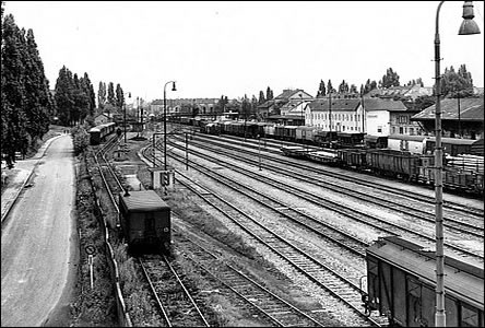 Celkový pohled na nádraží před elektrifikací, vlevo vzadu stojí vlak Mutěnka.