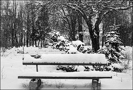Park u zimního stadionu v zim roku 1970, pohled k ulici Vrchlického.