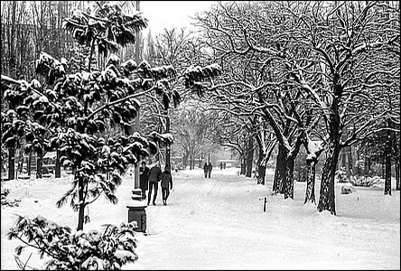 Pvodní cesta stedem parku k zimnímu stadiónu v zim roku 1970.