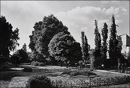 V padesátých letech byl park u dnešního ZS mnohem zelenjší.