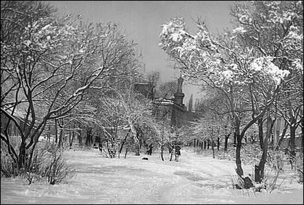 Zimní idylka v parku na Panav v šedesátých létech.