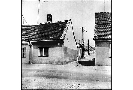 Dolní Plesová byla úzká ulika propojující ulice Polní a Horní Plesovou.