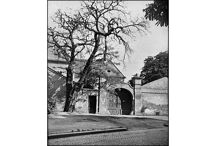 Pohled na vstupní bránu a zámeek v roce 1941.