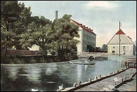 Redlichovy mlýny v roce 1901, doprava odbouje Jalové rameno.