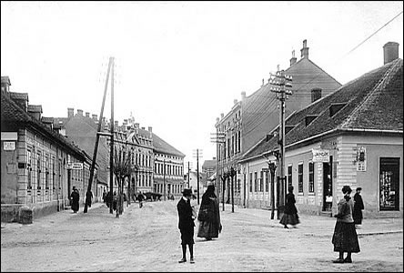 Ulice Dobrovolského k námstí v roce 1908, vlevo obchod Pítel pírody.