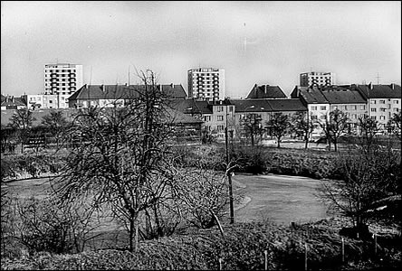 Cukrovarský rybníek trochu zhora v r.1976, vzadu ulice Sv. echa.