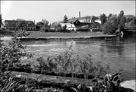 Pohled pes Mlýnské rameno k tabák. továrn, vpravo starý elezný most.